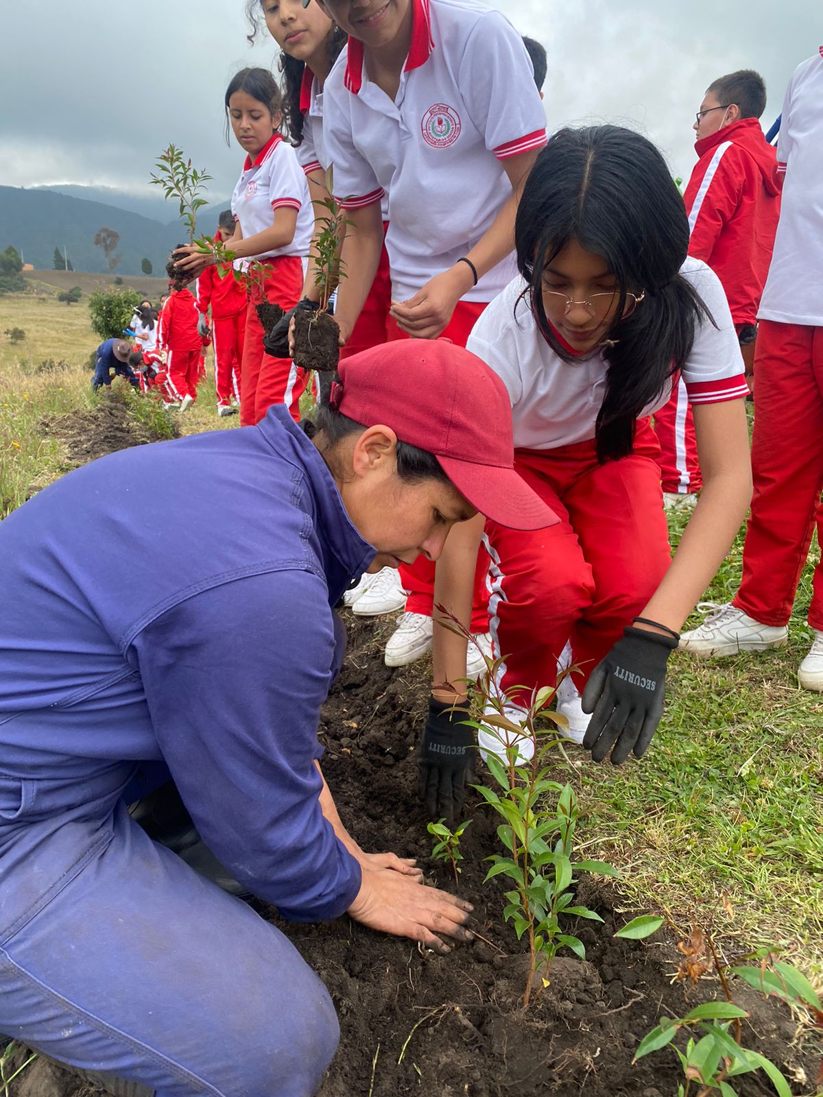 Pasos para participar