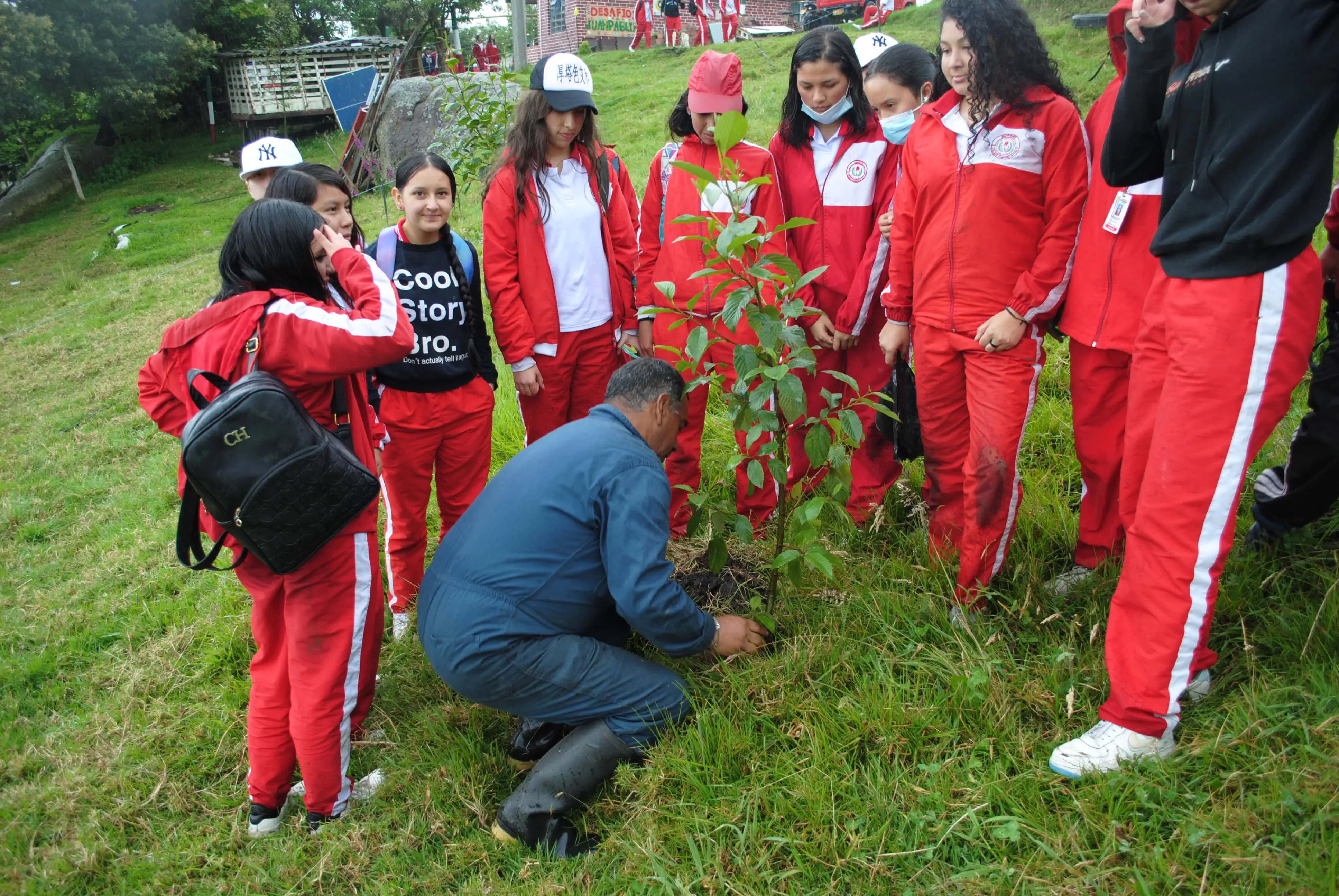 Cultivo orgánico en la granja escolar
