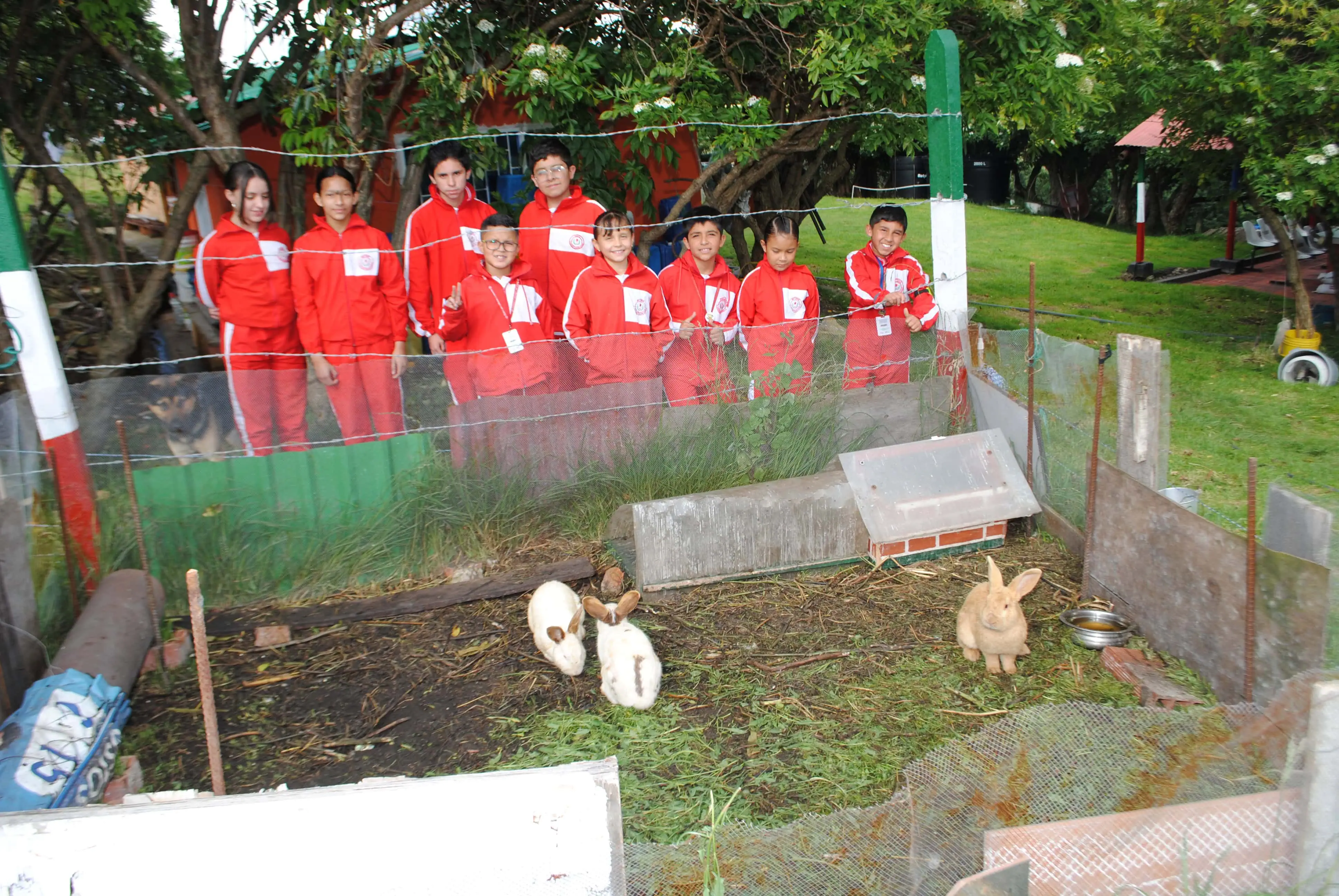 Cuidado de animales en la granja
