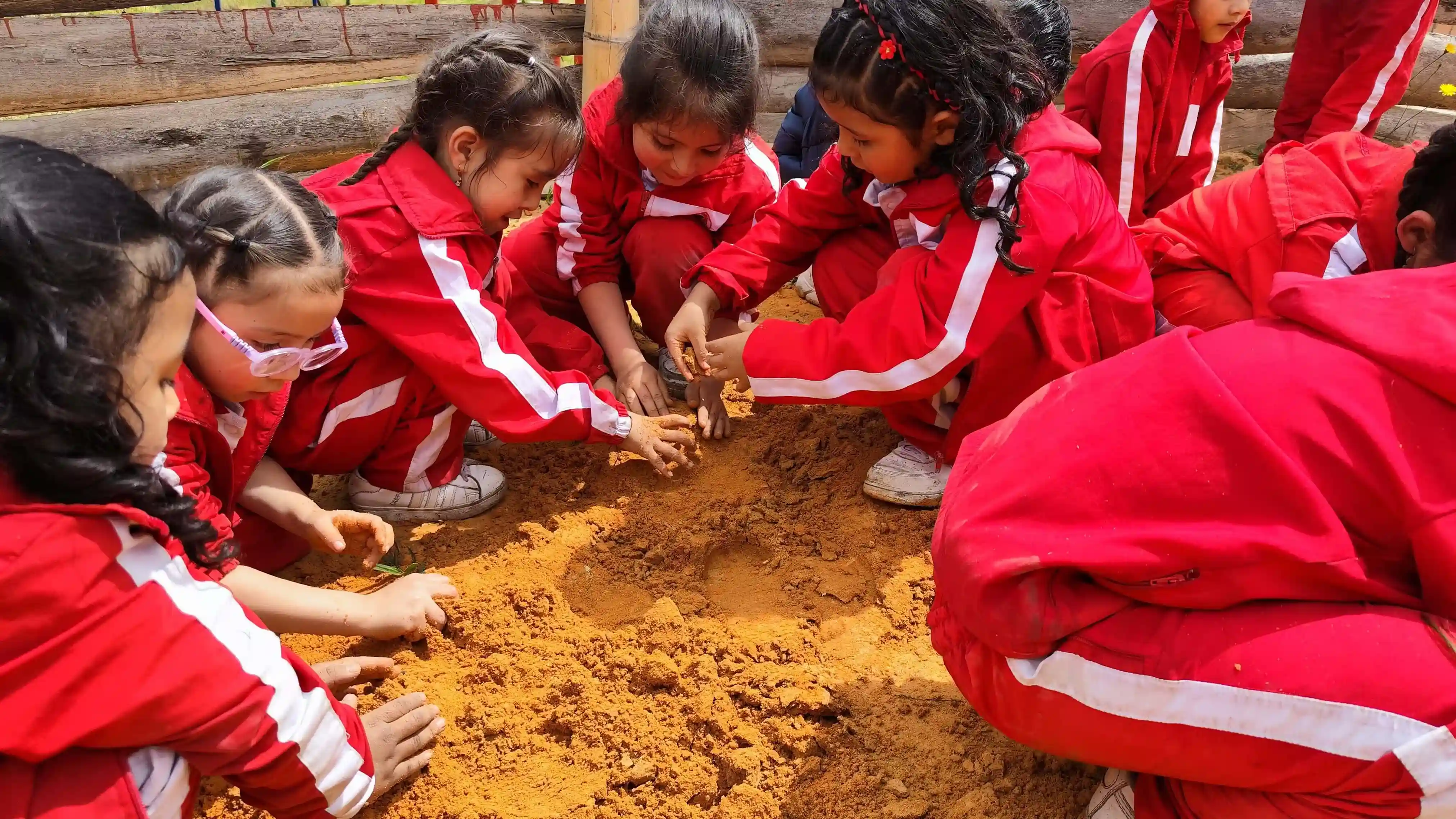 Educación ambiental en la naturaleza